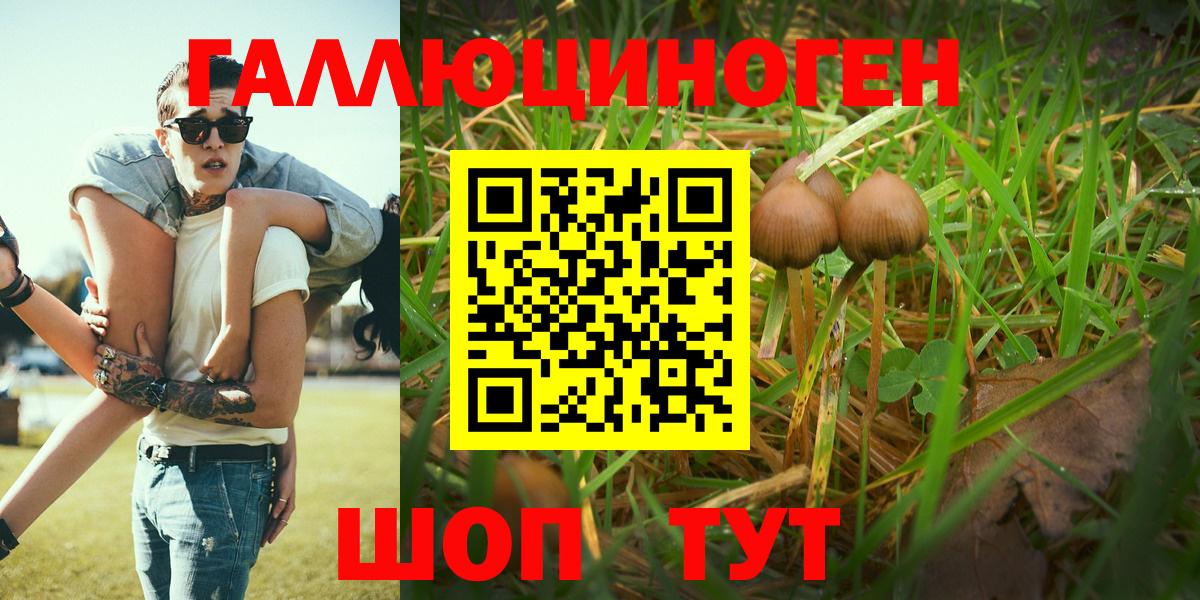 Псилоцибиновые грибы Psilocybe  Вход с VPN  Лиски 